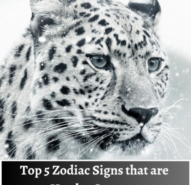 Top 5 Zodiac Signs that are Hard to Impress