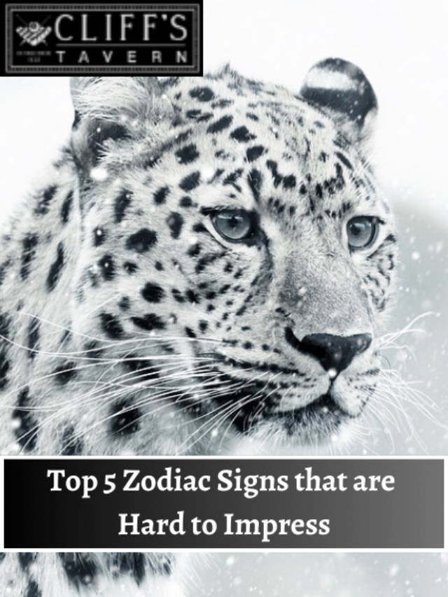 Top 5 Zodiac Signs that are Hard to Impress